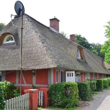 Wohnungen Unter Reet Krems Zwei Luaran gambar